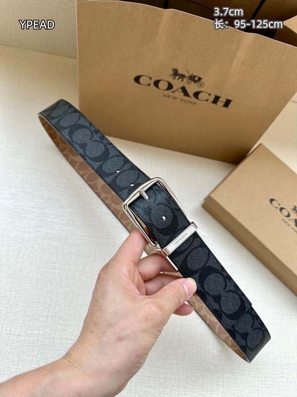 Coach belt 37mmX95-125cm 8L10